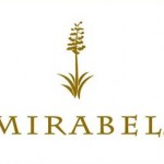 Mirabel Club Expanding Fitness Center