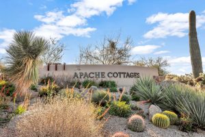 40059 N 110th Place, Scottsdale, AZ 85262 - Home for Sale TOD_6905_1000x668